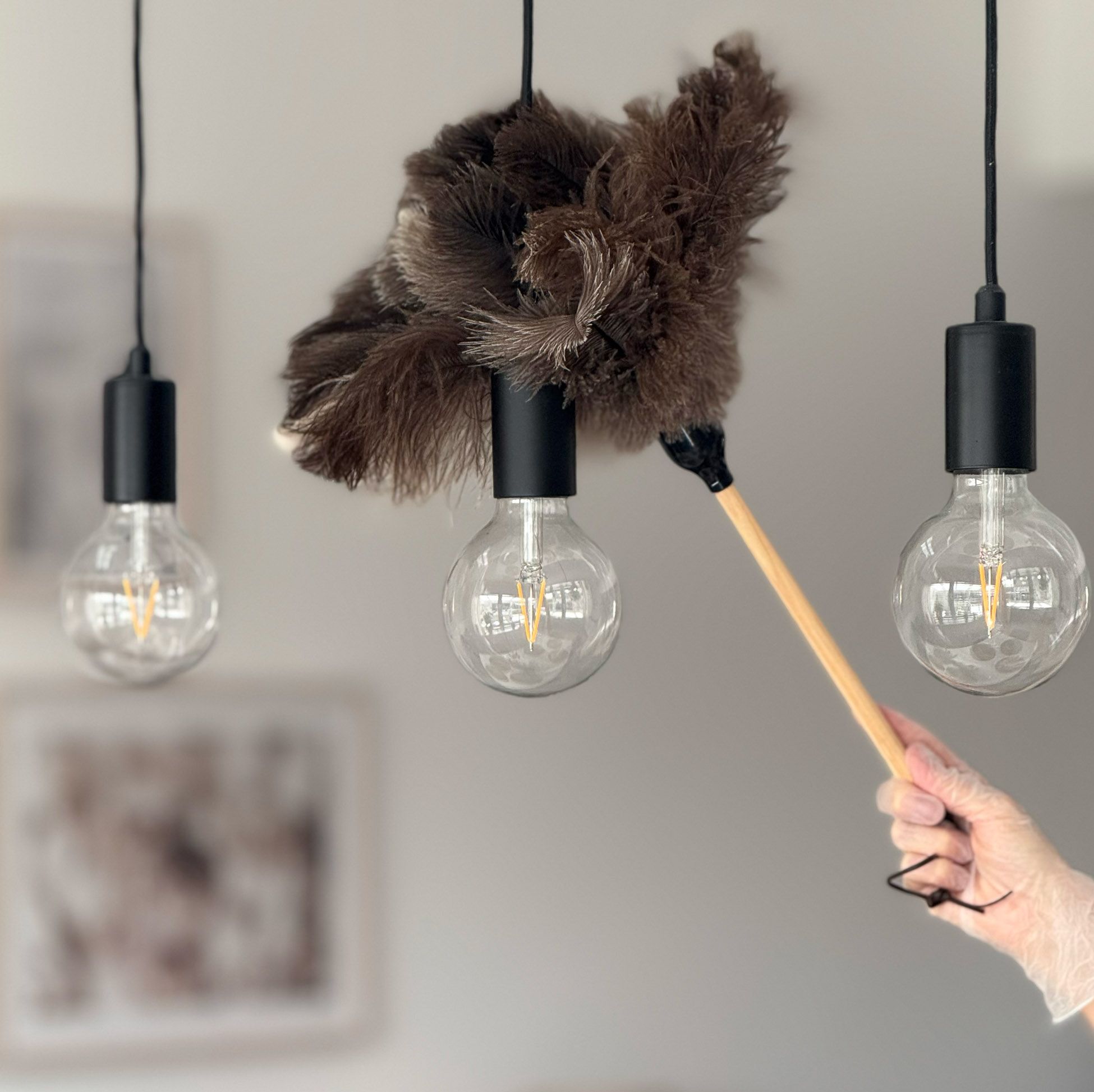 Dammvippa rengör hängande glödlampa