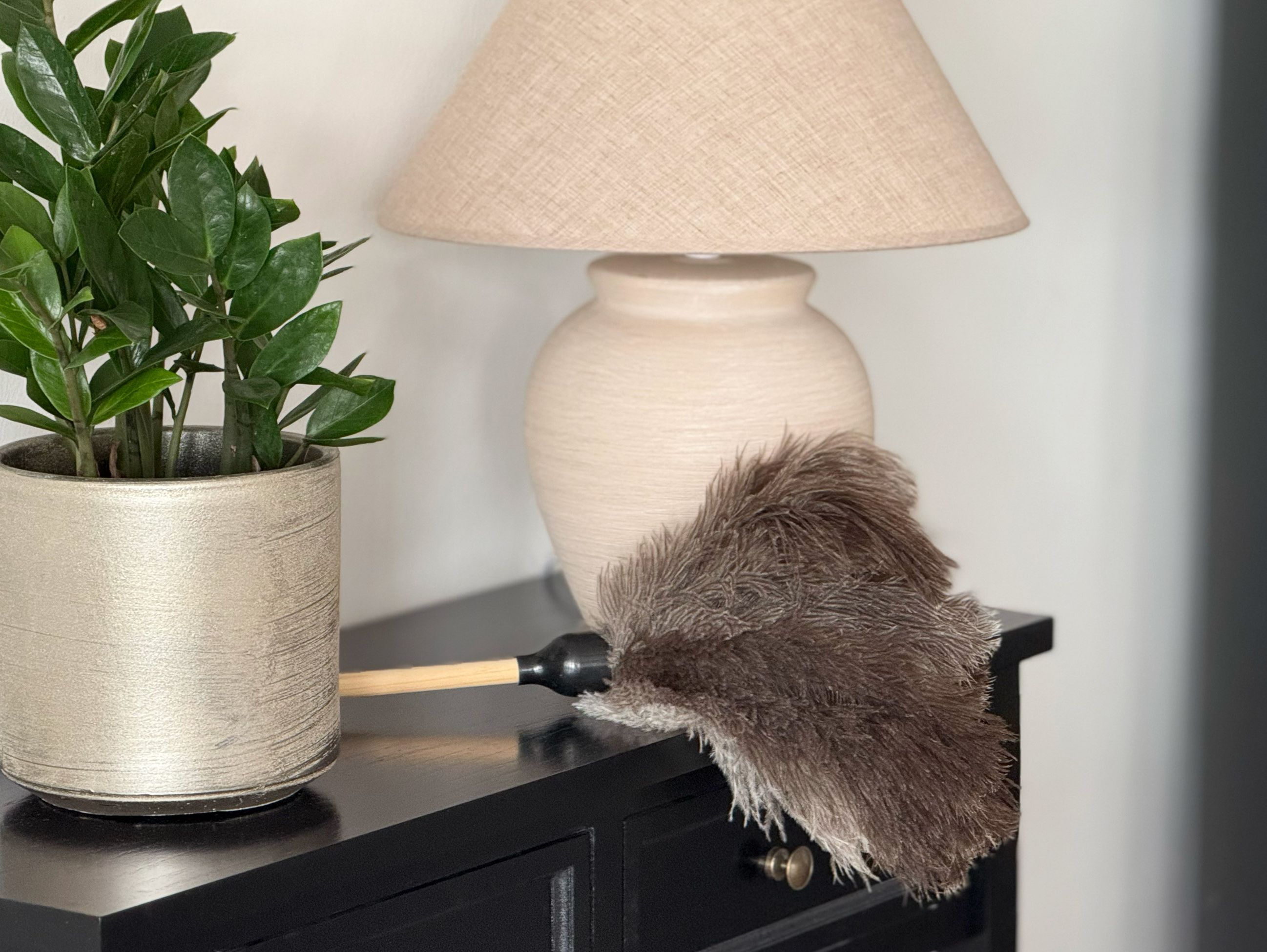 Sidobord med lampa, grön växt och dammvippa