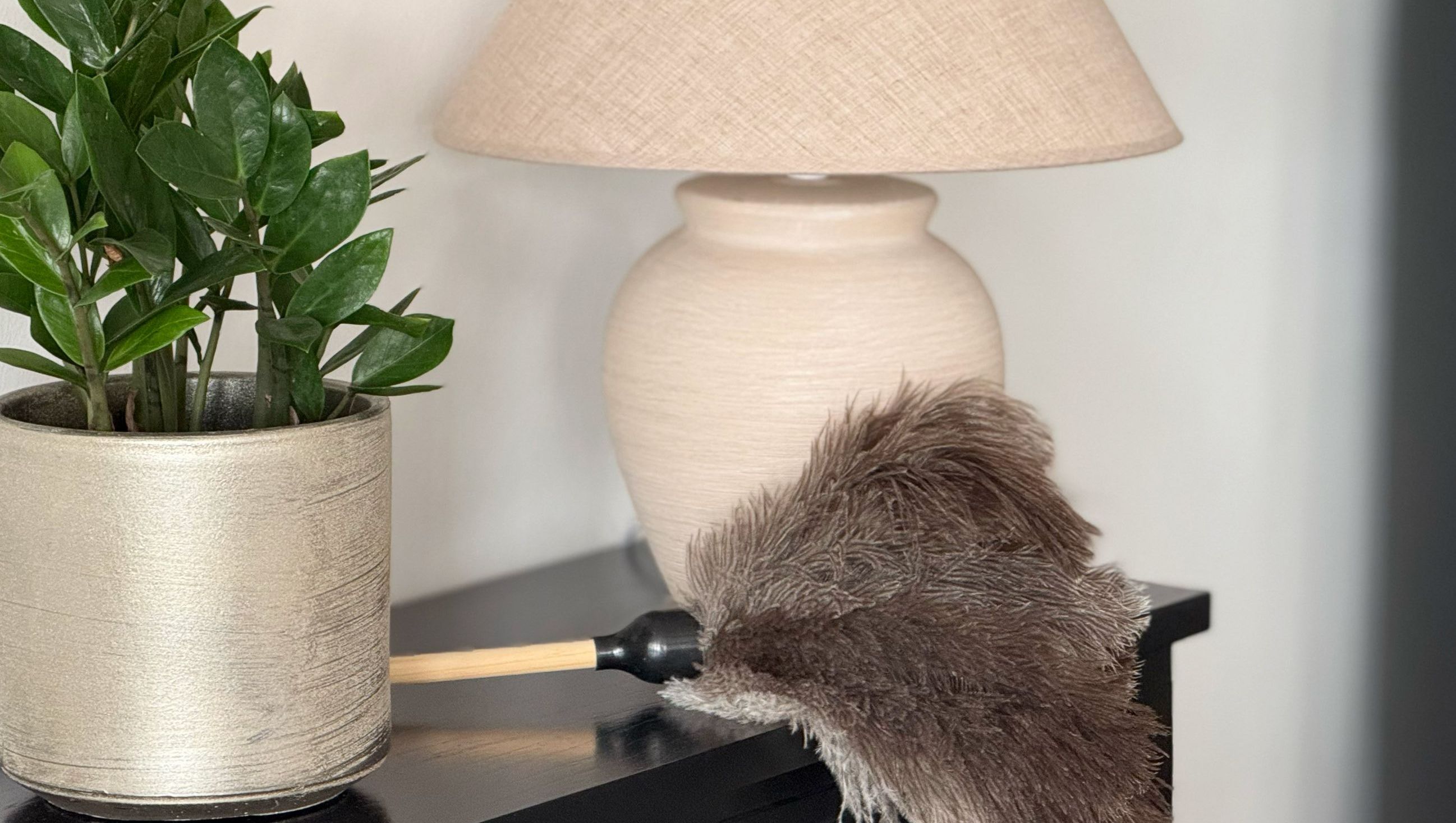  Sidobord med lampa, grön växt och dammvippa